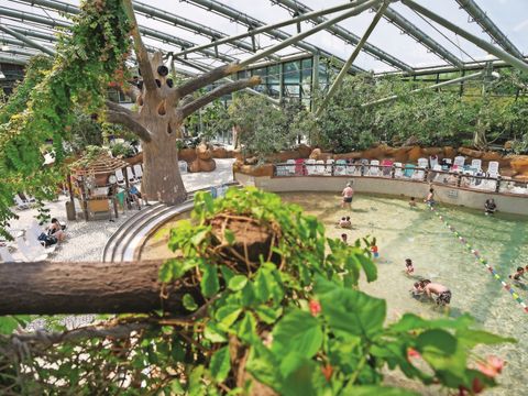 Center Parcs Le Lac d'Ailette - Camping Aisne - Image N°17