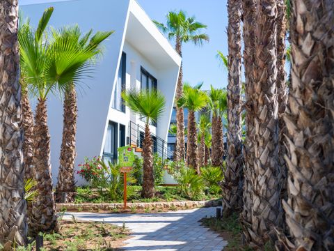 Hôtel Alannia Salou - Camping Tarragone - Image N°25