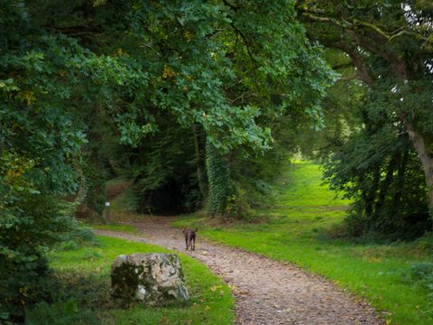 Camping de Kerisole*** - Camping Finistère - Image N°18