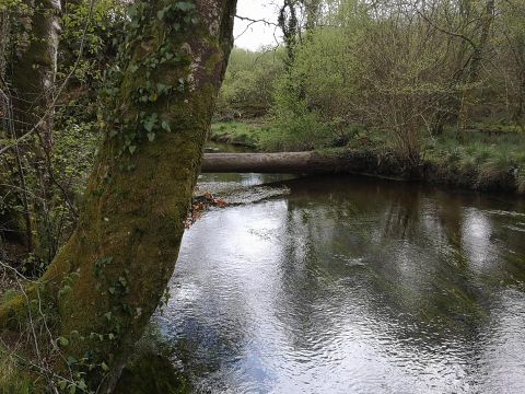 Camping de Kerisole*** - Camping Finistère - Image N°21