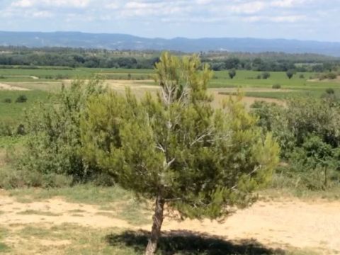 Emplacement - Parcelle de terrain