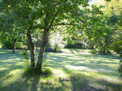 Emplacement - Nuitées en emplacement nu