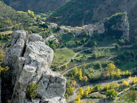 Camping L'Ondine de Provence - Camping Drome - Image N°19