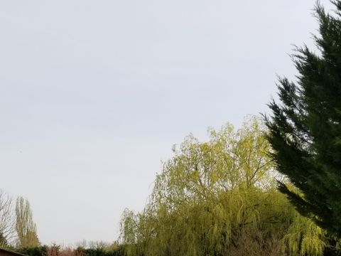 Camping de La Grange au Maire - Camping Deux-Sèvres - Image N°4