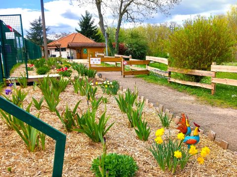 Camping L'Ile aux mille Charmes - Camping Vosges - Image N°3