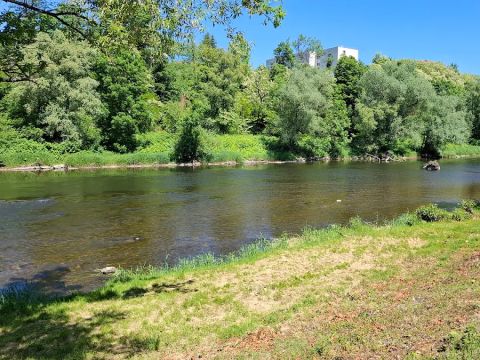 Camping L'Ile aux mille Charmes - Camping Vosges - Image N°13