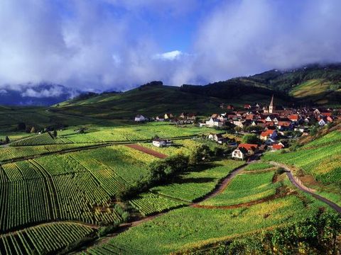 Village vacances - La Petite Pierre - Camping Bas-Rhin - Image N°4