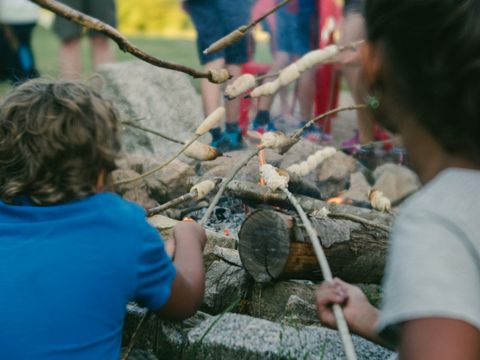Camping La Chabanne - Camping Allier - Image N°6