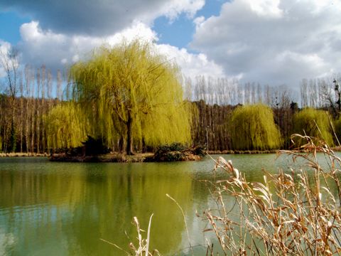 Camping Maeva Escapades La Rivière Doree - Camping Seine-et-Marne - Image N°15