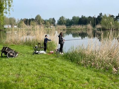Camping Coeur d'Alsace - Camping Bas-Rhin - Image N°8