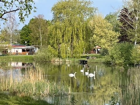 Camping Coeur d'Alsace - Camping Bas-Rhin - Image N°3
