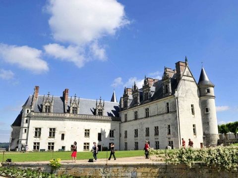 VVF Villages - Les châteaux de la Loire - Amboise - Camping Indre-et-Loire - Image N°14