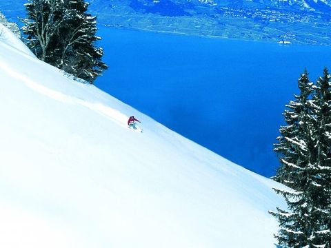 VVF Villages - Les Rives du Léman - Evian-les-Bains - Camping Haute-Savoie - Image N°15