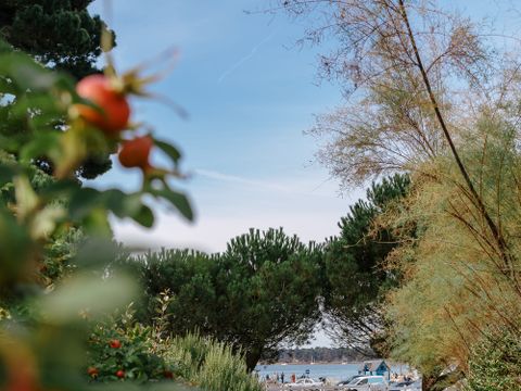 VVF Villages Larmor Baden - Camping Morbihan - Image N°17