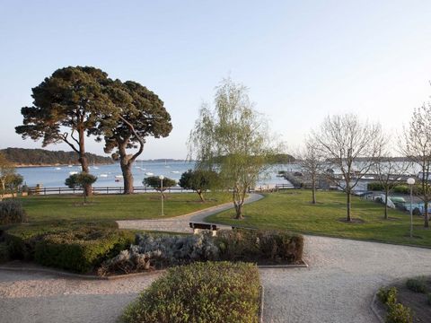 VVF Villages Larmor Baden - Camping Morbihan - Image N°16