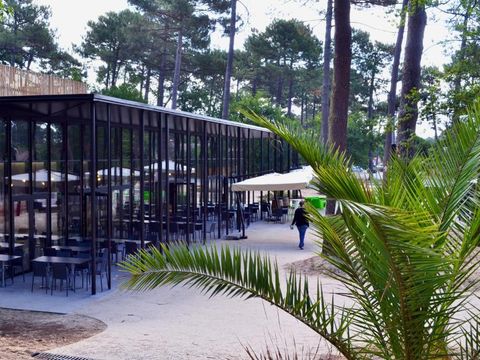 VVF Villages - Le Cap Ferret - Lège-Cap-Ferret - Camping Gironde - Image N°15