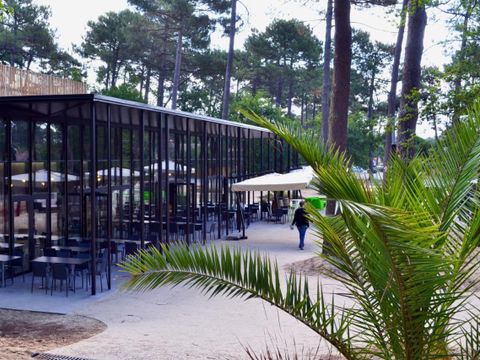 VVF Villages - Le Cap Ferret - Lège-Cap-Ferret VVF Villages - Le Cap Ferret - Lège-Cap-Ferret - Camping Gironde - Image N°10