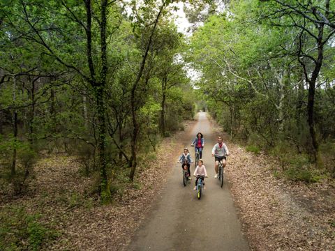 VVF Villages - Le Cap Ferret - Lège-Cap-Ferret - Camping Gironde - Image N°21