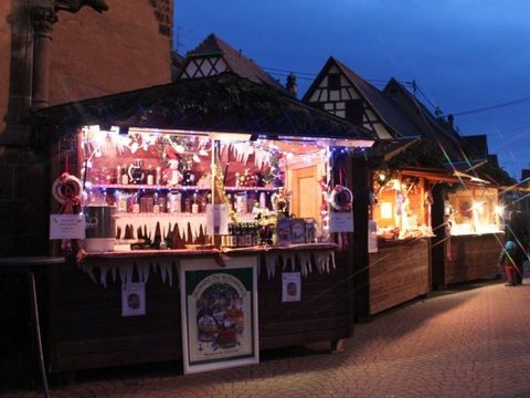 VVF Villages - La Plaine d'Alsace - Obernai - Camping Bas-Rhin - Image N°15