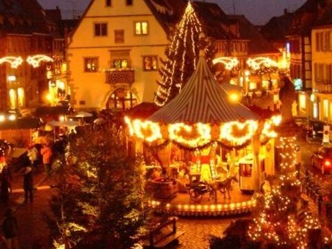 VVF Villages - La Plaine d'Alsace - Obernai - Camping Bas-Rhin - Image N°13