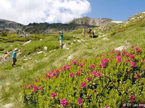 VVF Résidence Les Angles Pyrénées - Camping Pyrénées-Orientales - Image N°3