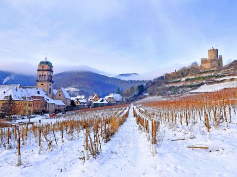 VVF Villages - La Routes des Vins d'Alsace - Orbey - Camping Haut-Rhin - Image N°8