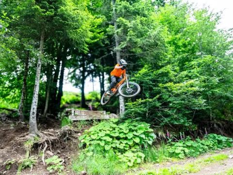 VVF Les Liorans Les Monts du Canal - Camping Cantal - Image N°33