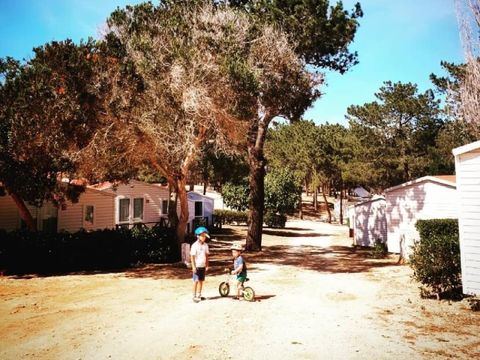 Camping Orbitur Sagres - Camping Algarve - Portugal - Image N°10