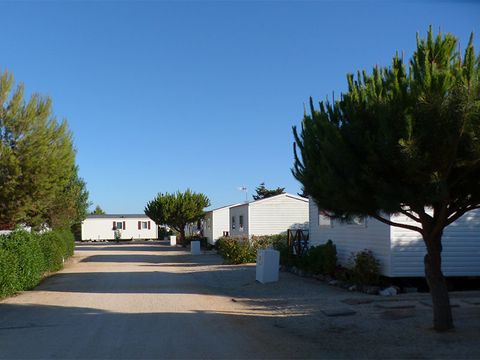Camping Orbitur Sagres - Camping Algarve - Portugal - Image N°11