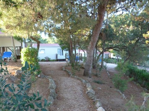 Camping Orbitur Sagres - Camping Algarve - Portugal - Image N°8