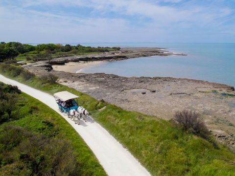 VVF Villages - Ile de Ré les Dunes - Sainte-Marie-de-Ré - Camping Charente-Maritime - Image N°4