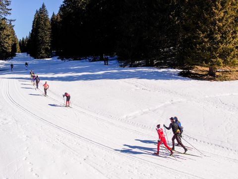 VVF Villages - Jura les Rousses - Premanon - Camping Jura - Image N°8