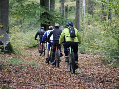 Camping Le Florenville - Camping Luxembourg - Image N°63