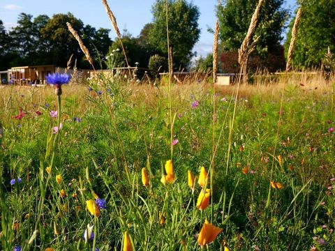 Camping Le Florenville - Camping Luxembourg - Image N°56