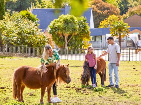 Camping Les Jardins du Morbihan - Camping Morbihan - Image N°13