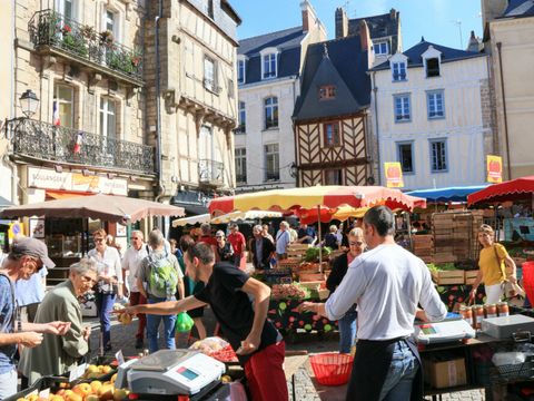 Camping Les Jardins du Morbihan - Camping Morbihan - Image N°43