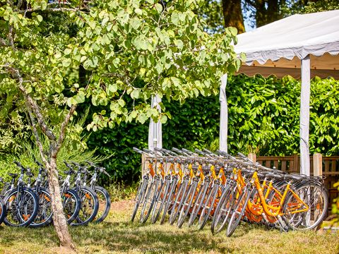 Camping Les Jardins du Morbihan - Camping Morbihan - Image N°40