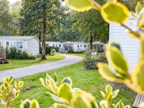 Camping Les Jardins du Morbihan - Camping Morbihan - Image N°42