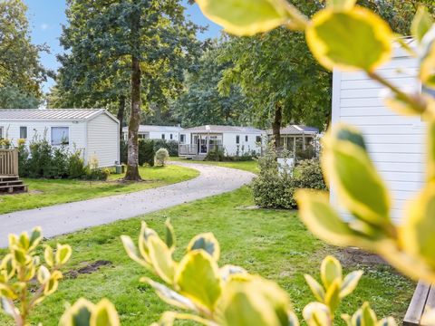 Camping Les Jardins du Morbihan - Camping Morbihan - Image N°43