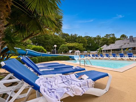 Camping Les Jardins du Morbihan - Camping Morbihan - Image N°8
