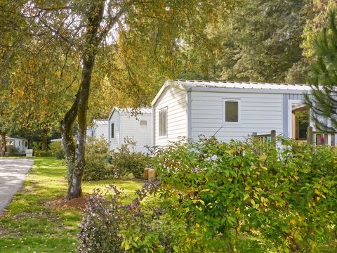 Camping Les Jardins du Morbihan - Camping Morbihan - Image N°44