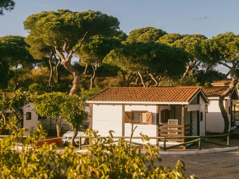 Camping Playa la Bota - Camping Huelva - Image N°12