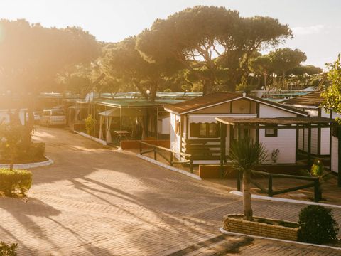 Camping Playa la Bota - Camping Huelva - Image N°21