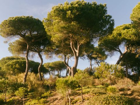 Camping Playa la Bota - Camping Huelva - Image N°11