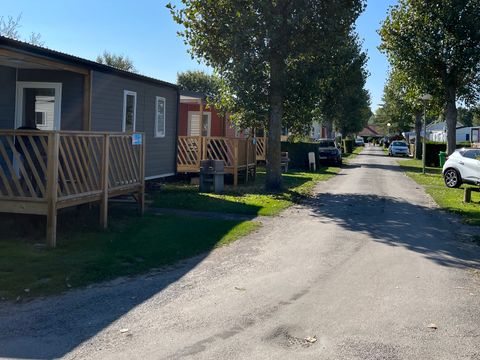 Camping Paradis Le Royon - Camping Somme - Image N°36