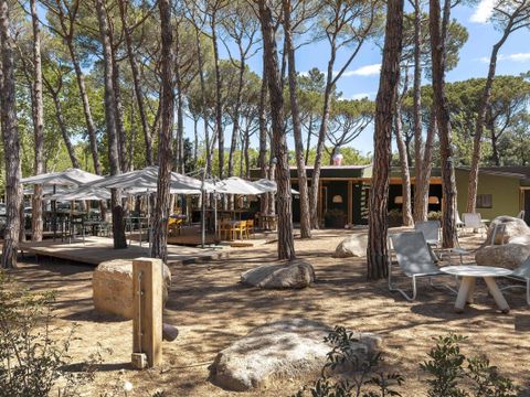 TENTE TOILE ET BOIS 2 personnes - Bell Tent