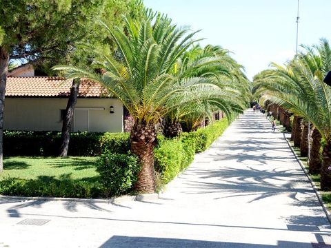 STUDIO 3 personnes - Camelia