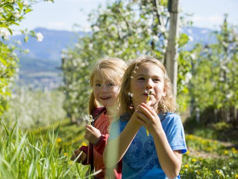 Camping Arquin - Camping Bolzano - Image N°12