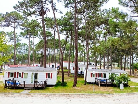 Camping Orbitur Foz de Arelho - Camping Région de Lisbonne - Image N°2