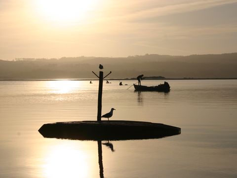 Camping Orbitur Foz de Arelho - Camping Région de Lisbonne - Image N°12